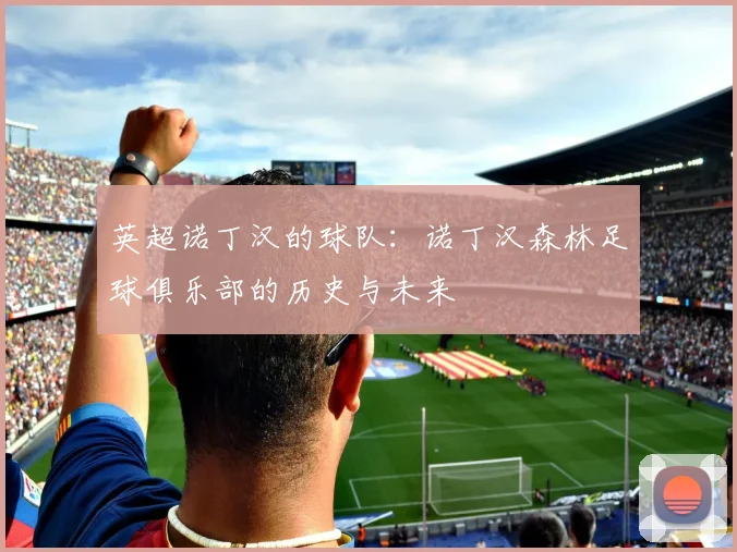 英超诺丁汉的球队：诺丁汉森林足球俱乐部的历史与未来