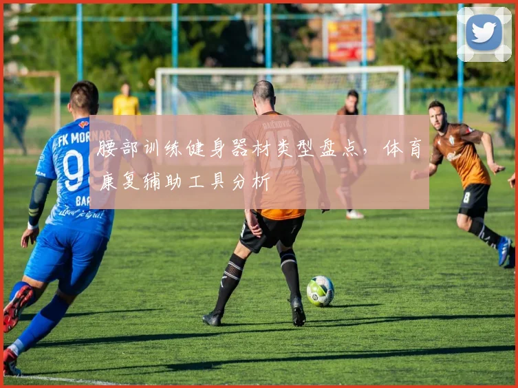 腰部训练健身器材类型盘点，体育康复辅助工具分析