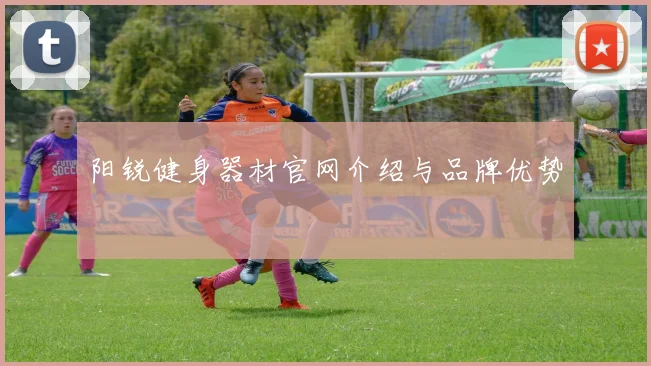 阳锐健身器材官网介绍与品牌优势
