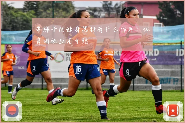 带梯子的健身器材有什么作用？体育训练应用介绍