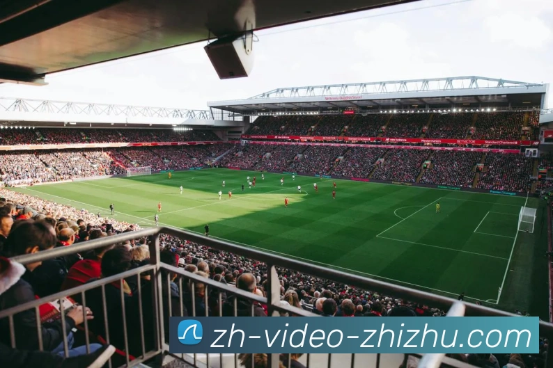 蜘蛛直播发展历程